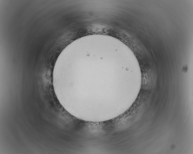 X0000116790820201001151059