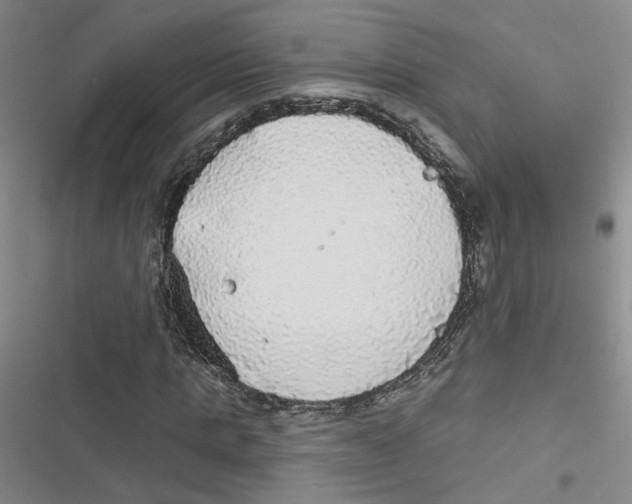 X0000116790821201001151059