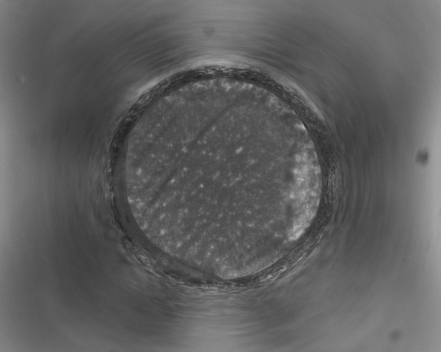 X0000116790822201001151059