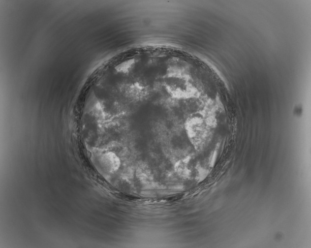 X0000116790823201001151100