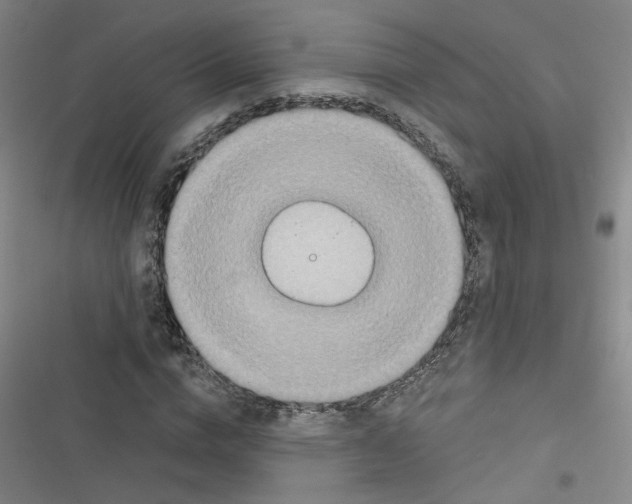 X0000116790824201001151100