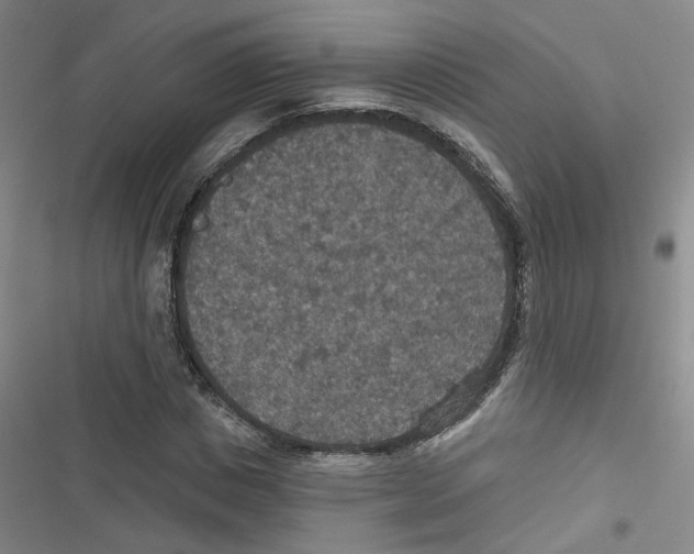 X0000116790825201001151100