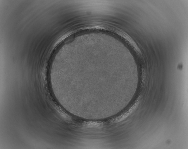 X0000116790826201001151100