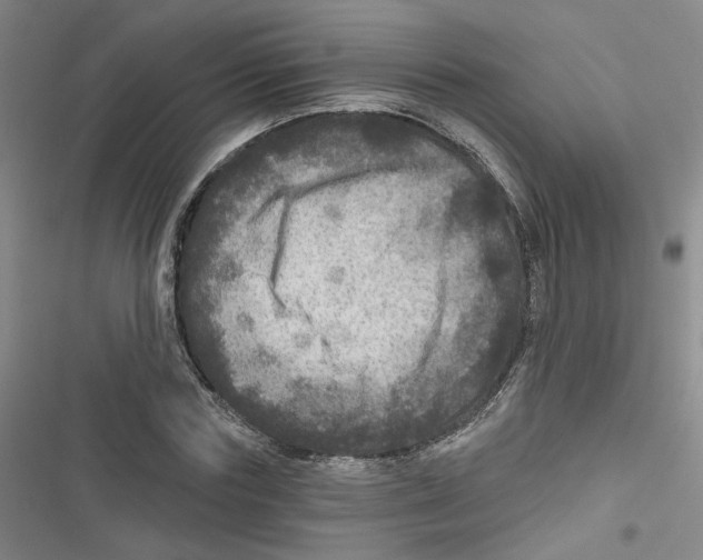 X0000116790827201001151100