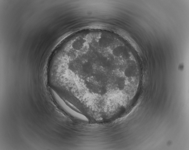 X0000116790829201001151100
