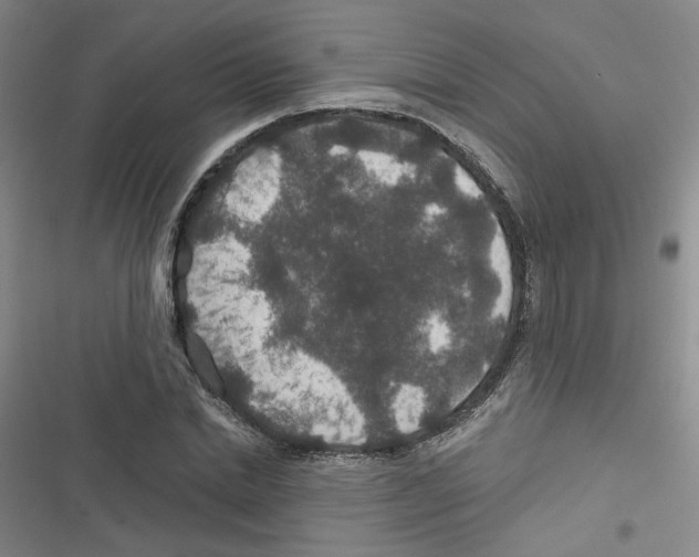 X0000116790830201001151100