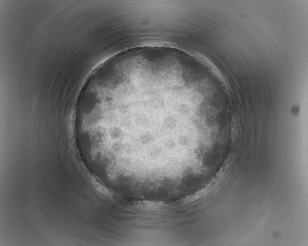 X0000116790831201001151100