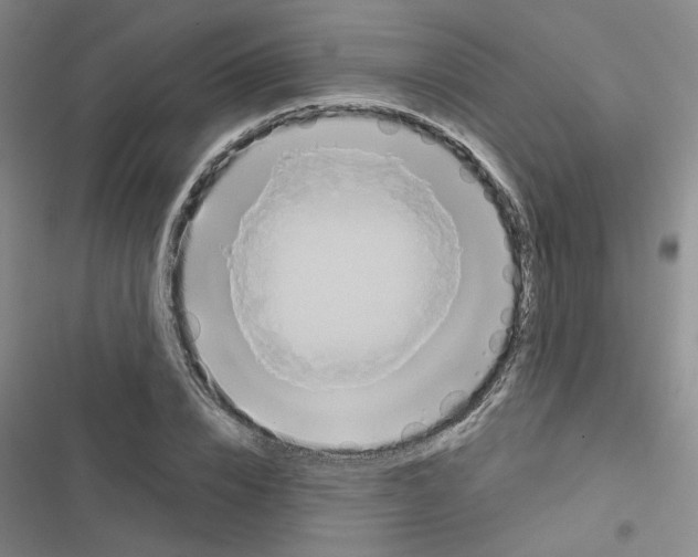 X0000116790832201001151100