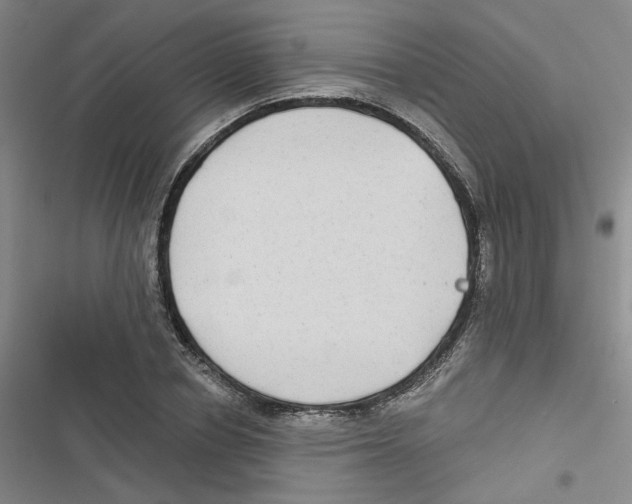 X0000116790834201001151100
