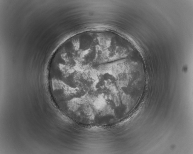 X0000116790835201001151100