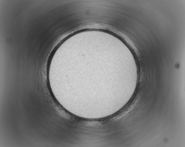 X0000116790837201001151100