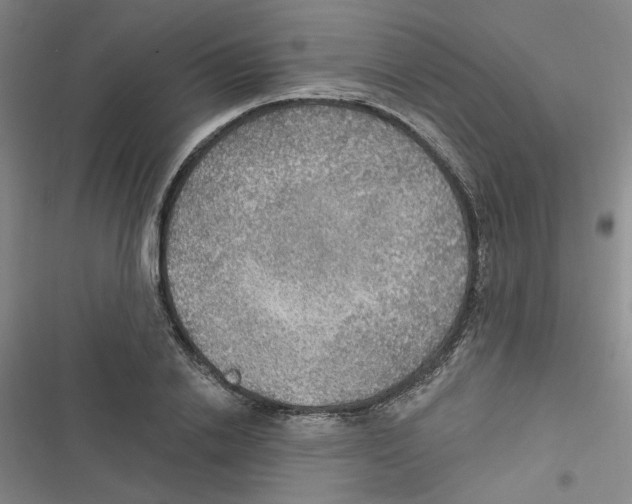 X0000116790838201001151100