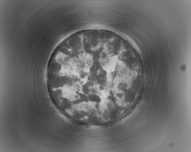 X0000116790839201001151100