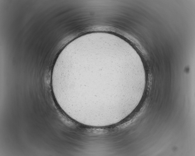 X0000116790841201001151100