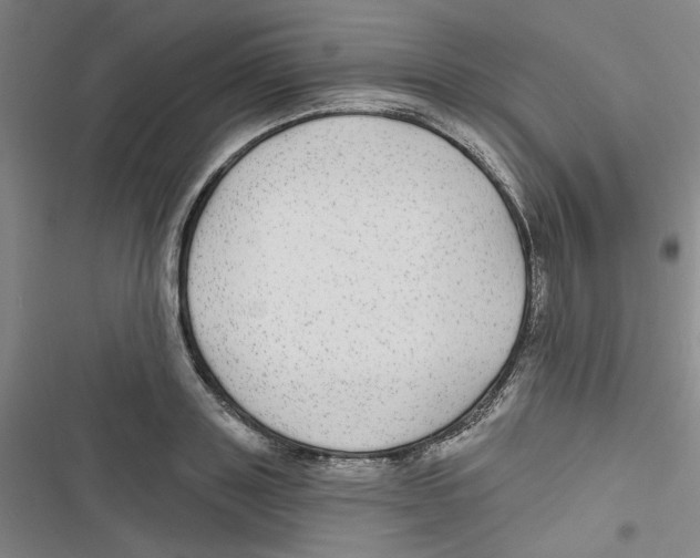 X0000116790843201001151100