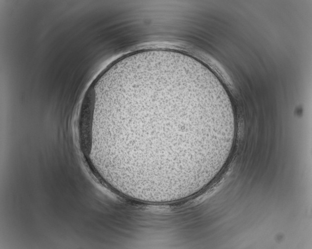 X0000116790844201001151100