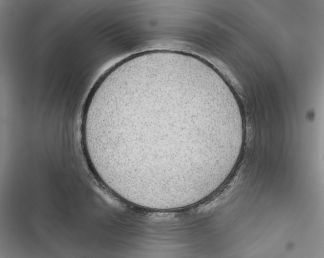 X0000116790846201001151100