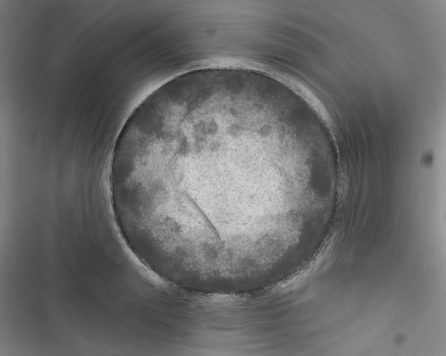 X0000116790847201001151100