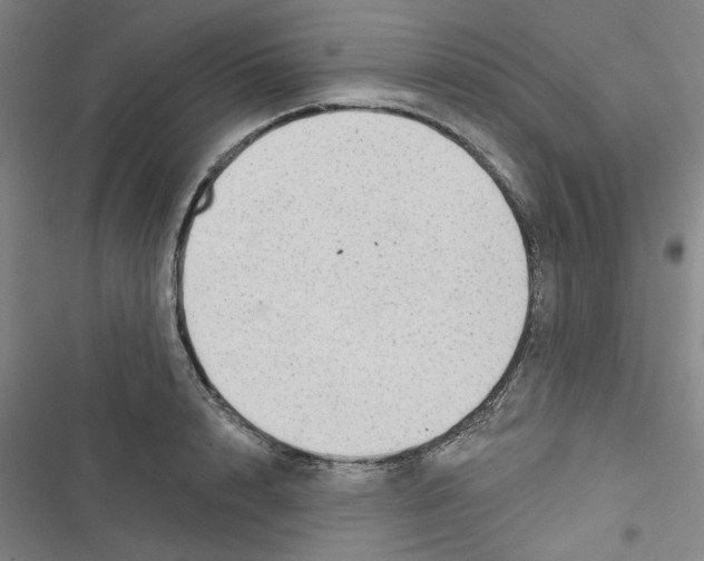 X0000116790848201001151100