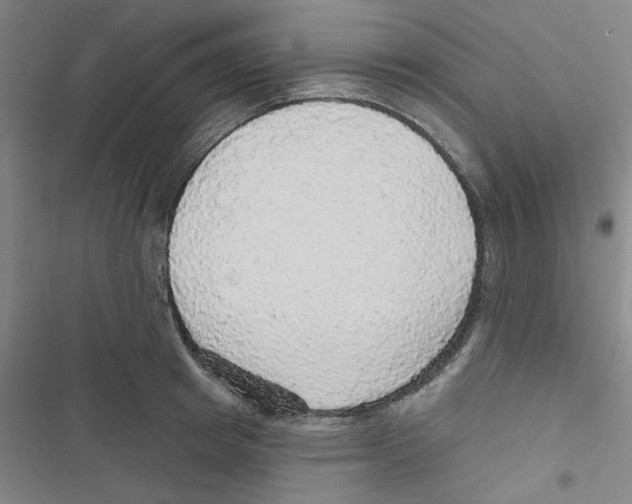 X0000116790849201001151100
