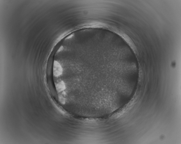 X0000116790850201001151100