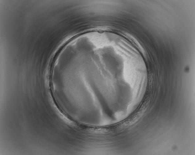 X0000116790851201001151100