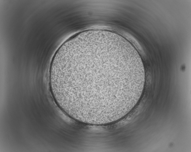 X0000116790852201001151100