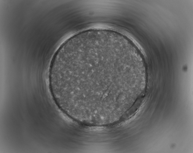 X0000116790853201001151100