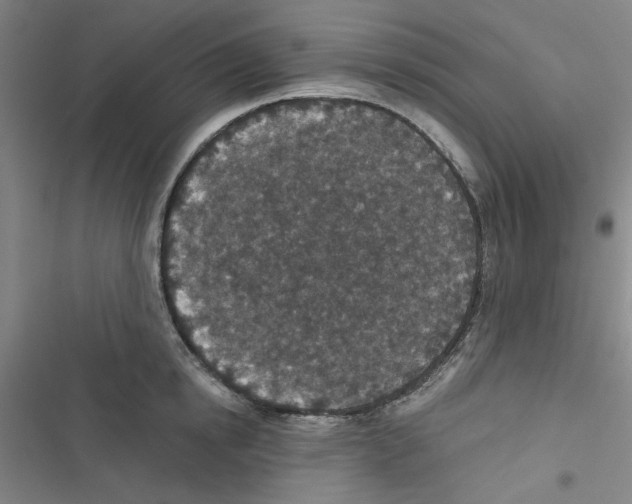 X0000116790854201001151100