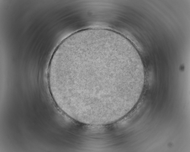 X0000116790856201001151100