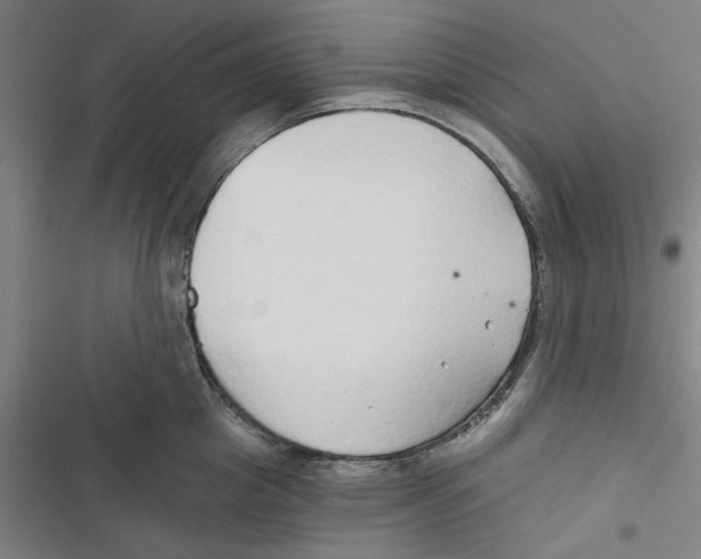 X0000116790857201001151100