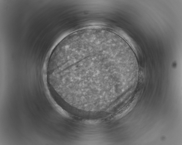 X0000116790859201001151100