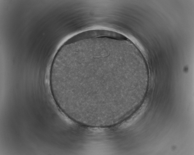 X0000116790862201001151100