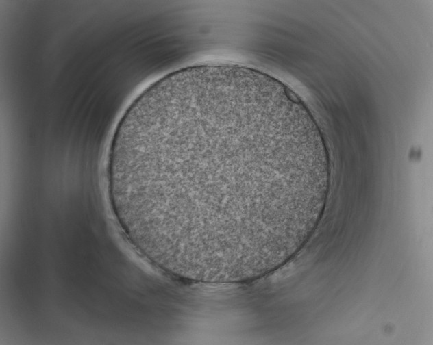 X0000116790864201001151100