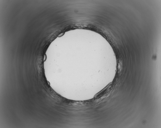 X0000116790867201001151059