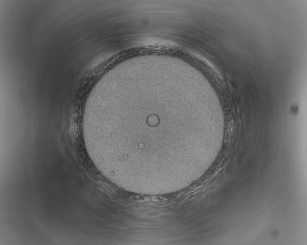 X0000116790869201001151059