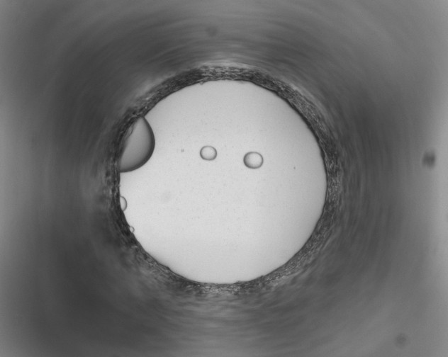 X0000116790870201001151059