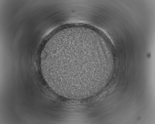 X0000116790871201001151059