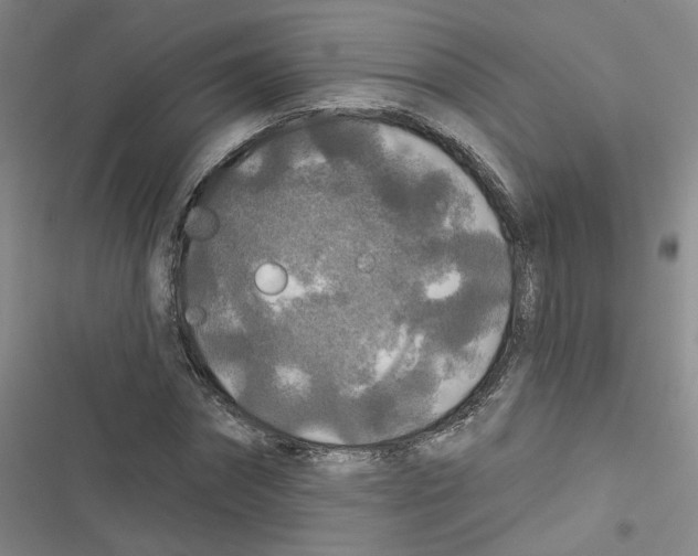 X0000116790874201001151059
