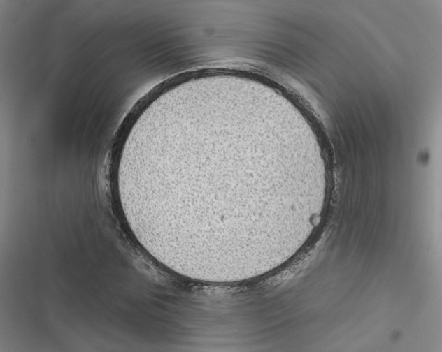 X0000116790875201001151059