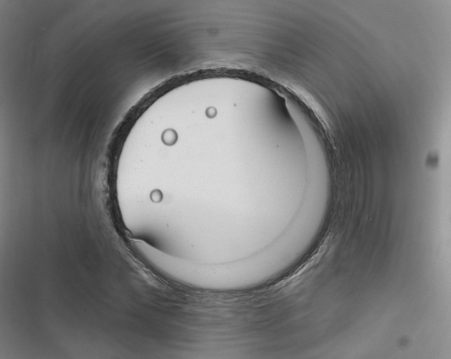 X0000116790878201001151059