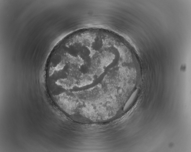 X0000116790879201001151059