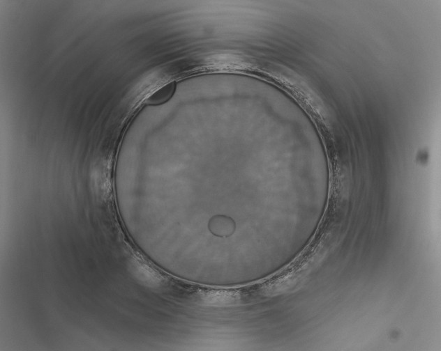 X0000116790889201001151059