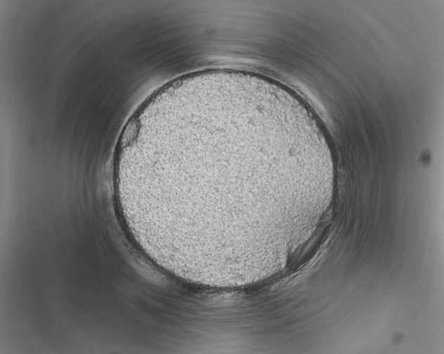 X0000116790891201001151059