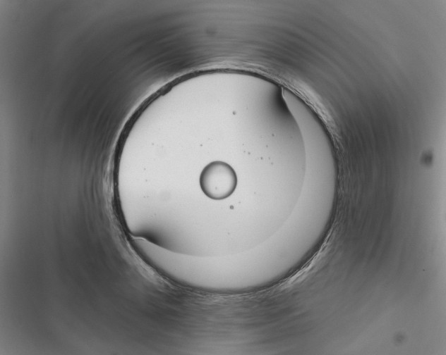 X0000116790892201001151059