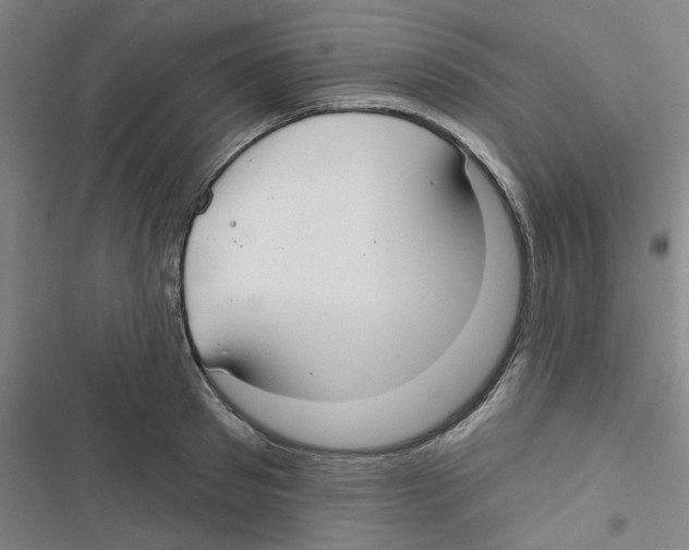 X0000116790897201001151059