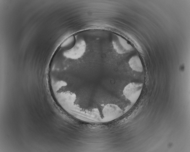 X0000116790899201001151059