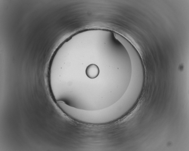 X0000116790901201001151059