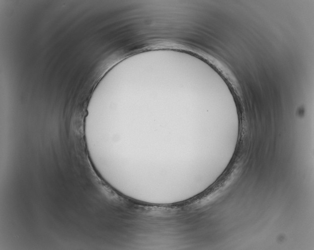 X0000116790905201001151059