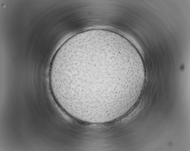 X0000116790906201001151059